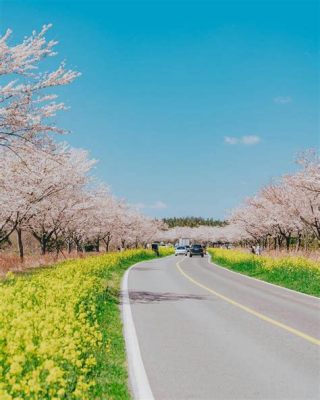 춘천 가볼만한 곳: 시간을 거슬러 올라가는 여행