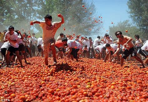 토마토 축제, 과연 토마토만의 이야기일까?